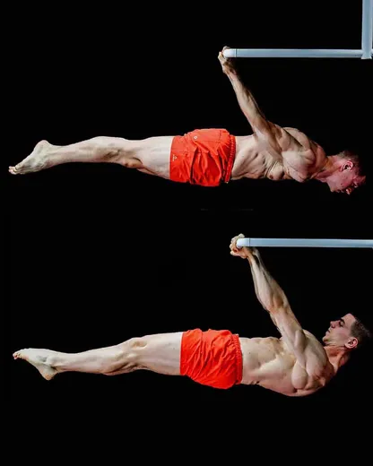 Front & Back Lever Program